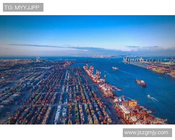 以上海海港为核心推动全球航运枢纽建设与区域经济合作发展新机遇