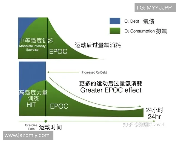 科学健身指南：从基础训练到饮食搭配全面提升你的体能与健康