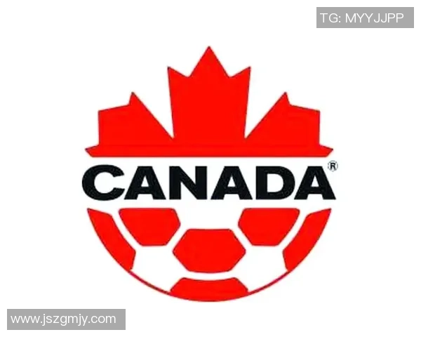 美加墨三国携手举办世界杯创新合作提升全球足球竞技与文化交流